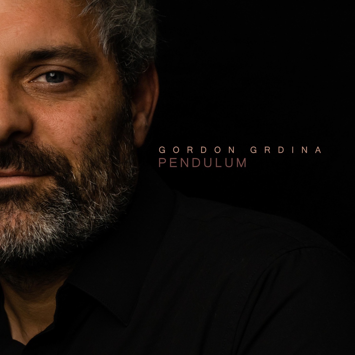 Pendulum by Gordon Grdina album cover