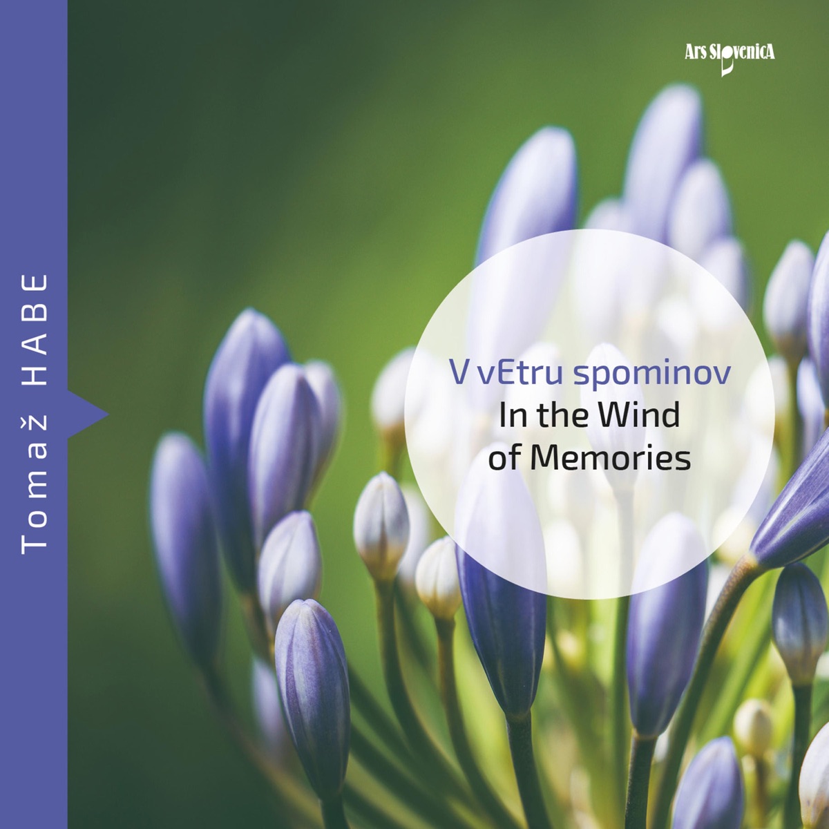 V vetru spominov by Matej Sarc, Orkester Slovenske Filharmonije, Jan Gričar, Simfonicni Orkester RTV Slovenija, Zoran Mitev & Tibor Kerekes album cover