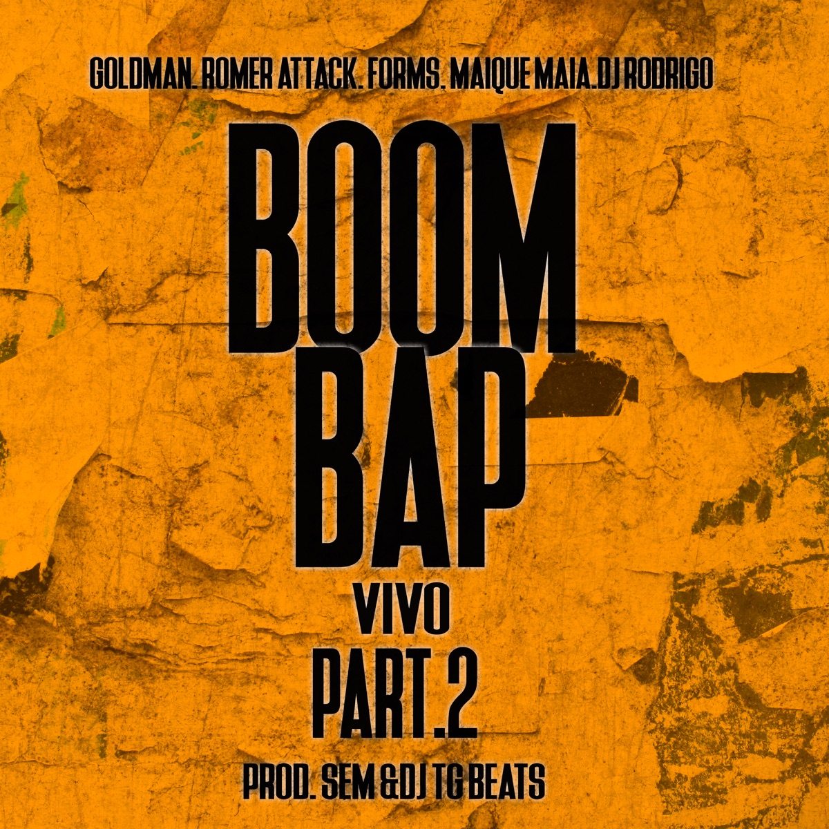 Boom Bap Vivo, Pt. 2 (feat. $em, Maique Maia, dj rodrigo 84, Goldman, Romer Attack & Form´s) - Single by dj tg beat album cover