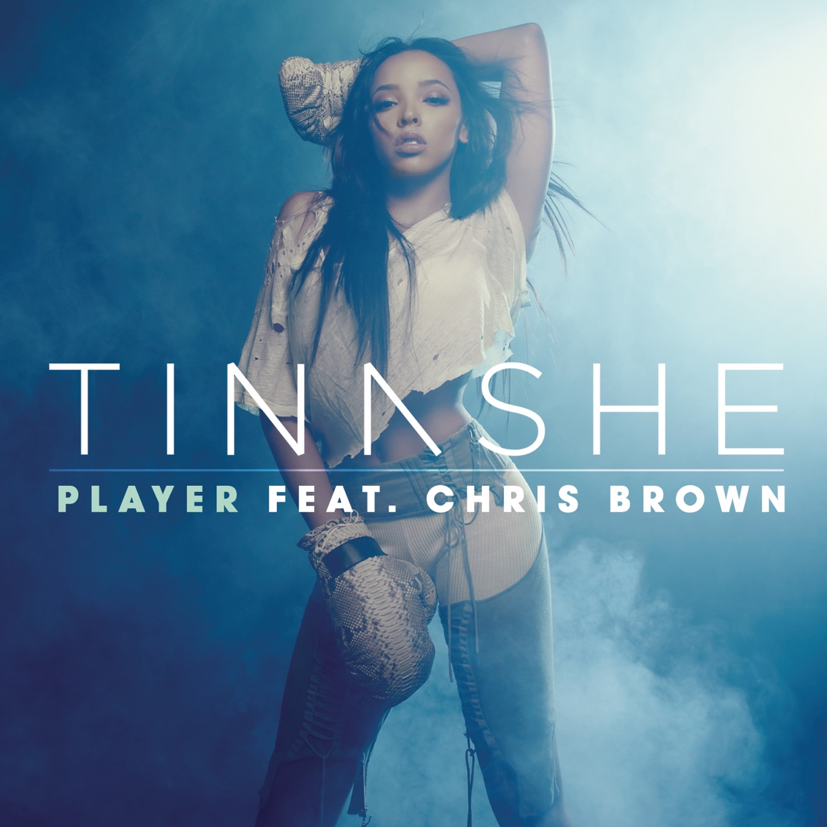 Player (feat. Chris Brown) - Single by Tinashe album cover