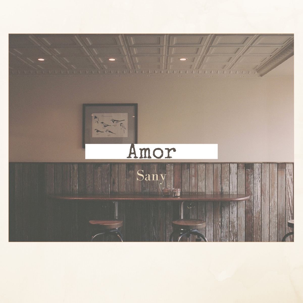 Amor - Single by SANY oficial album cover