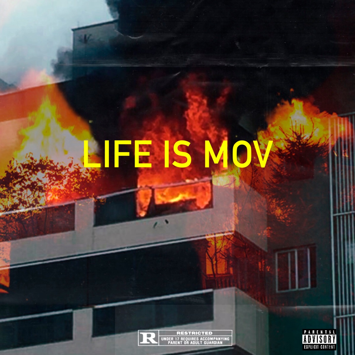 Life Is Mov - Single by 80baby album cover