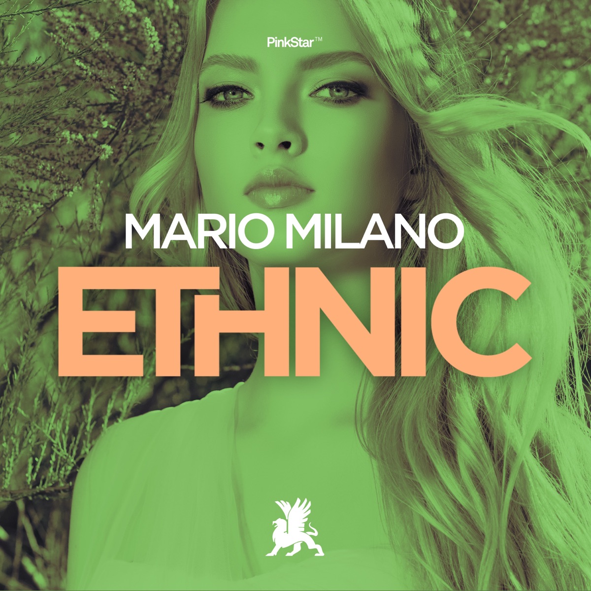 Ethnic - Single by Mario Milano album cover