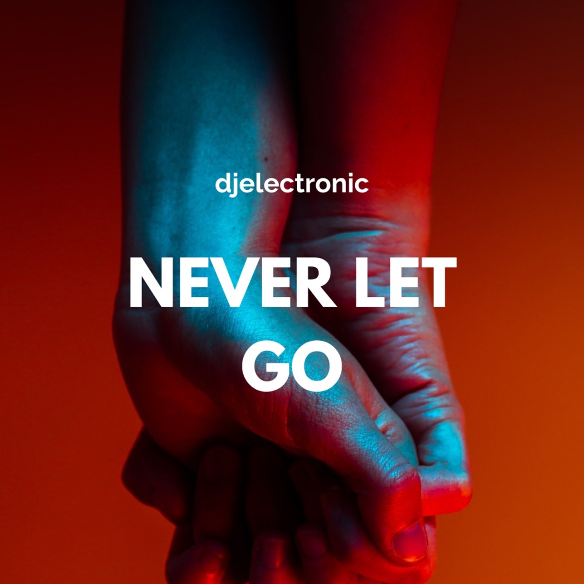 Never Let Go (Instrumental Version) - Single by djelectronic album cover
