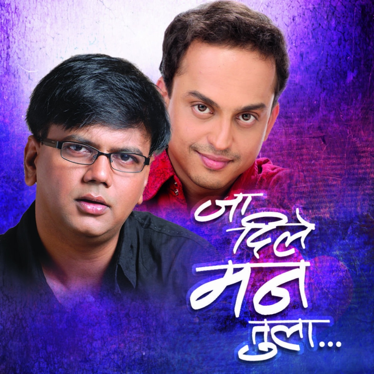 Ja Dile Mann Tula by Salil Kulkarni & Sandeep Khare album cover
