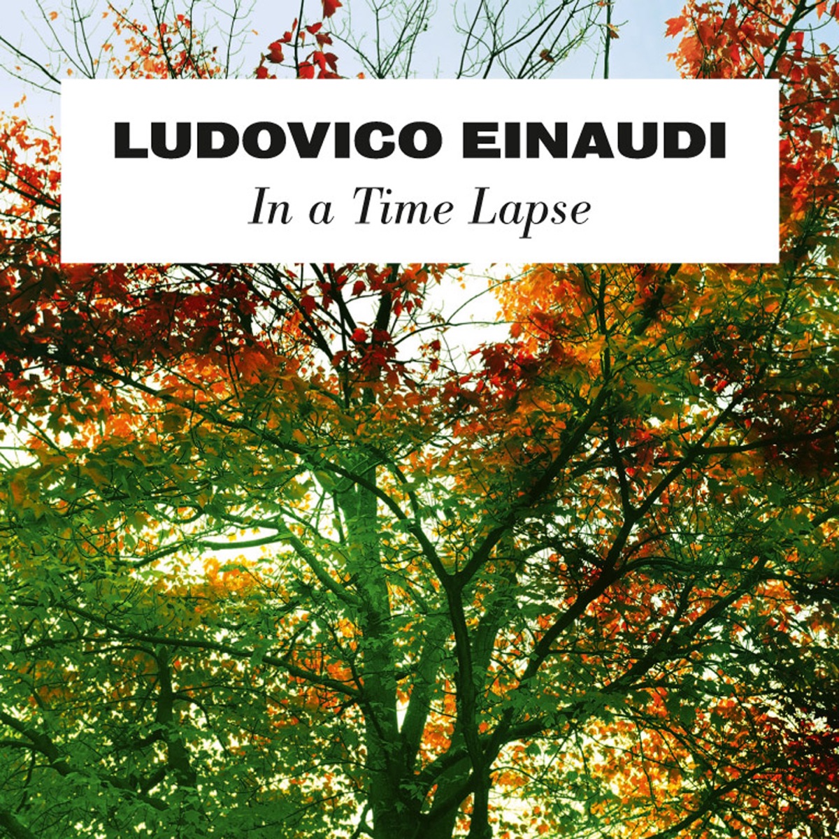 In a Time Lapse by Ludovico Einaudi album cover