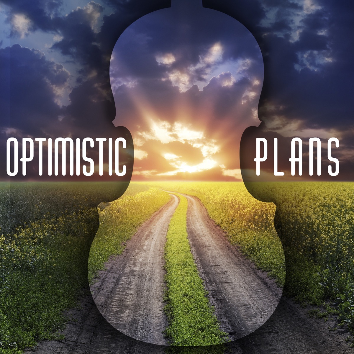 Optimistic Plans - Stories with Strings by Gregor F. Narholz & The Bulgarian Film Orchestra album cover