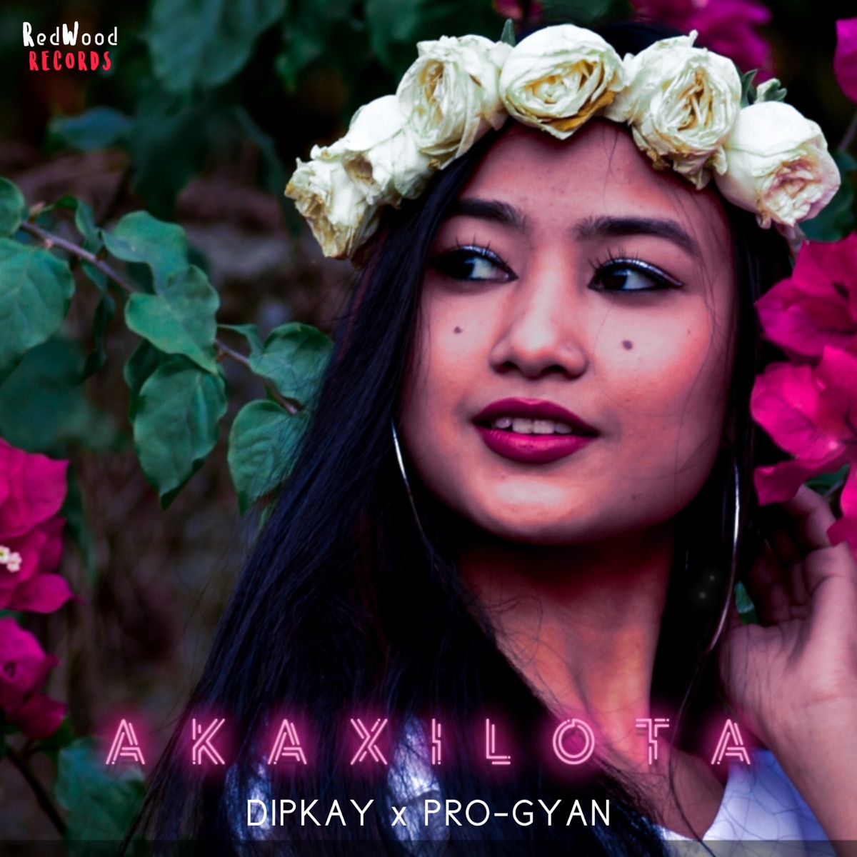 Akaxilota - Single by DIPKAY & PRO-GYAN album cover