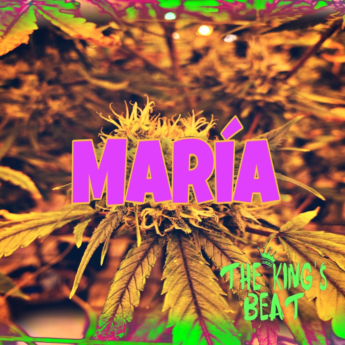 María - Single by THE KING´S BEAT album cover