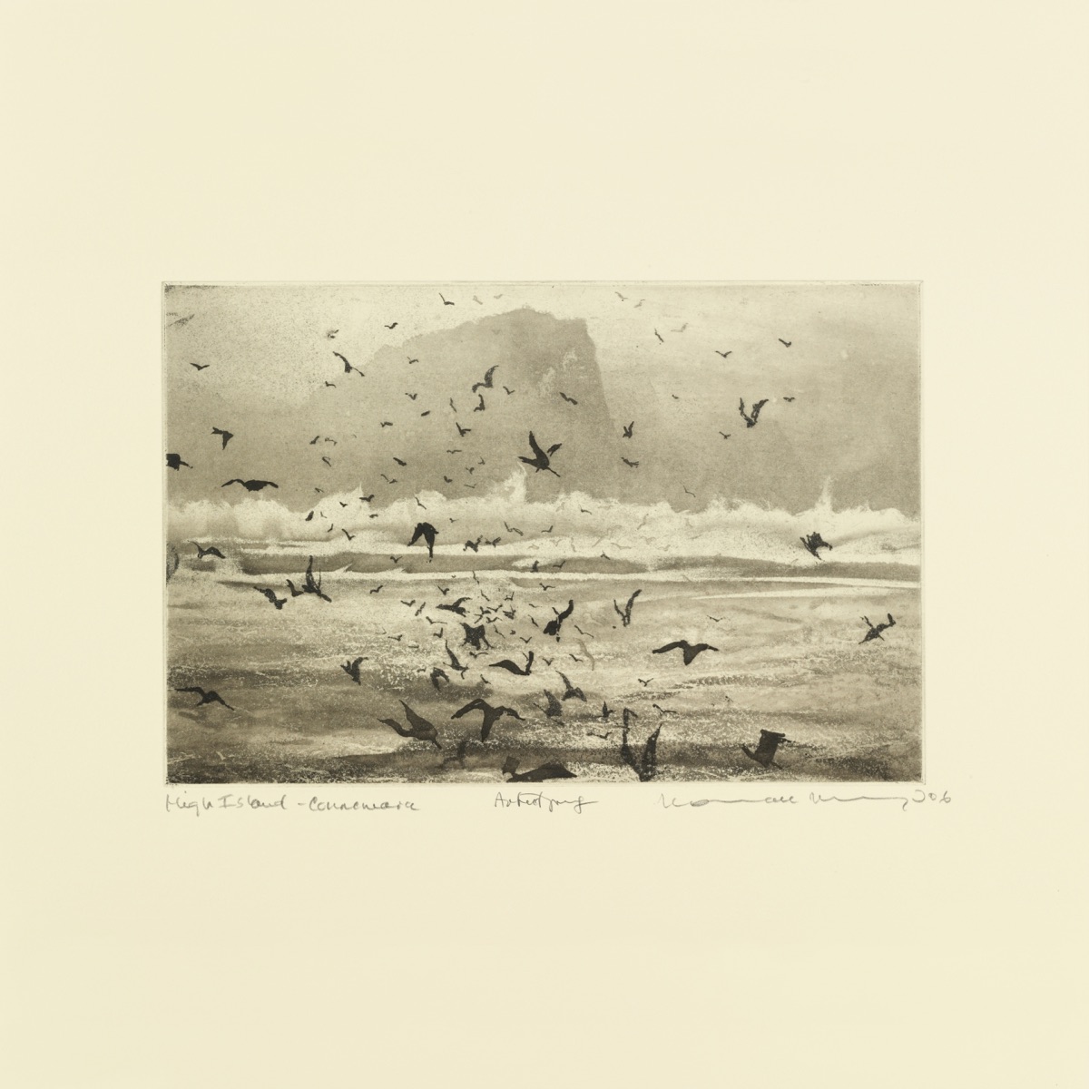 Murmuration by Erland Cooper & William Doyle album cover