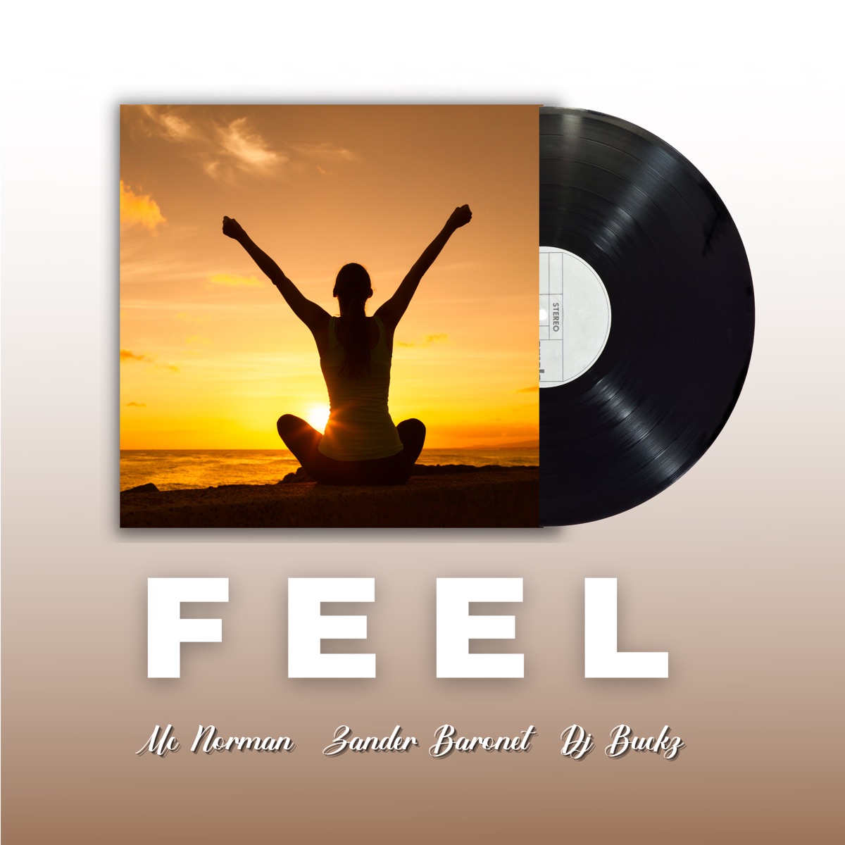 Feel - Single by Mc Norman, DJ Buckz & Zander Baronet album cover
