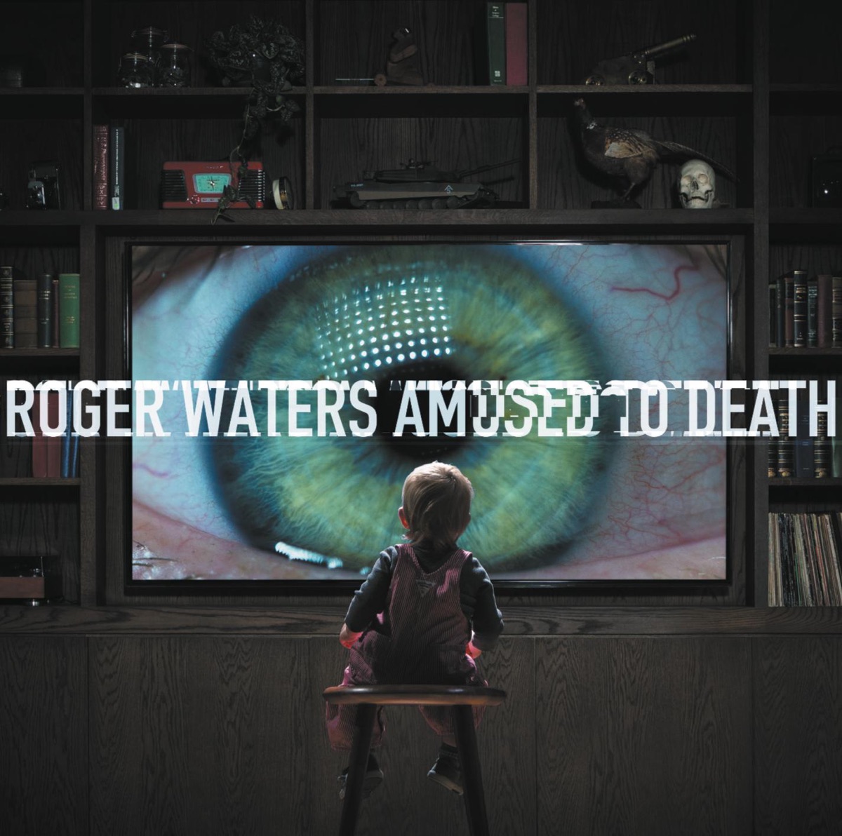 Amused to Death by Roger Waters album cover