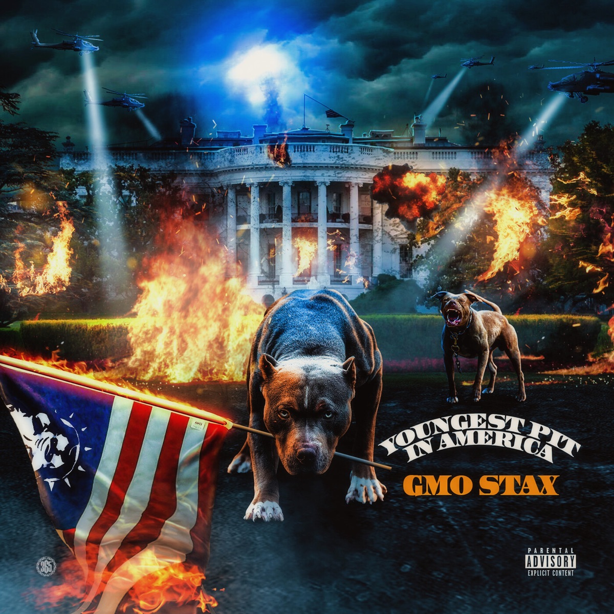 Youngest Pit In America by GMO Stax album cover
