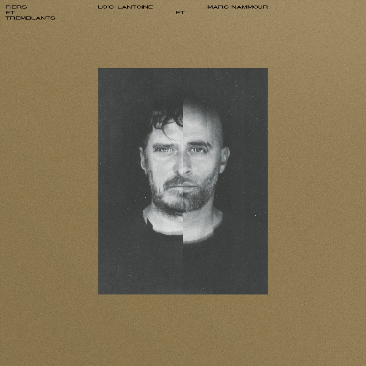 Fiers et tremblants by Marc Nammour & Loïc Lantoine album cover