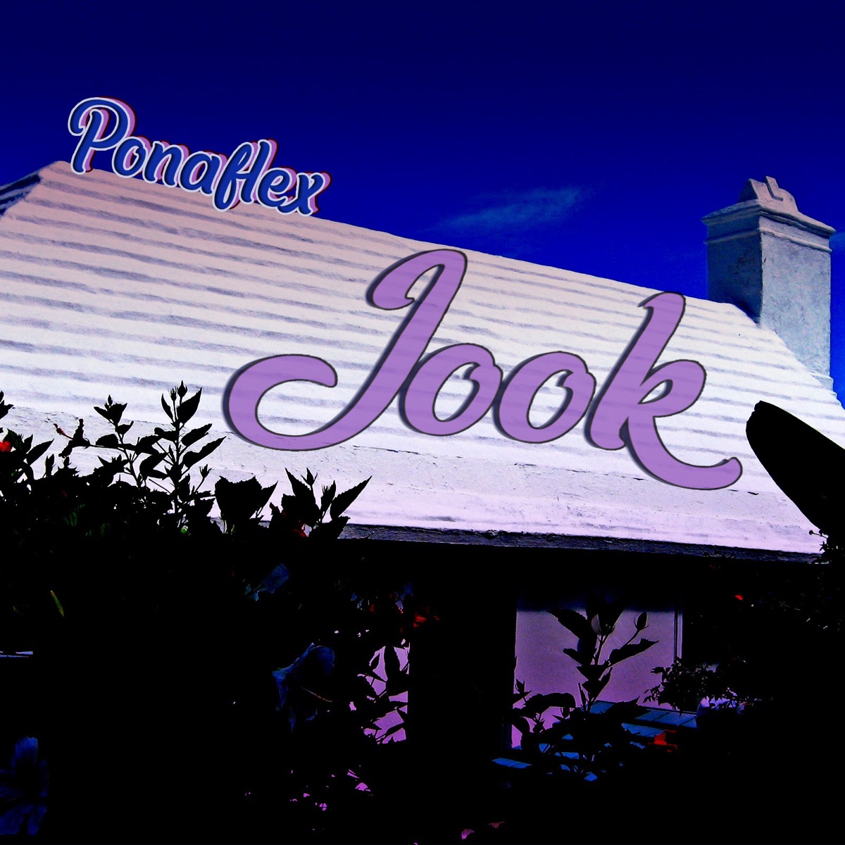 Jook - Single by Ponaflex album cover