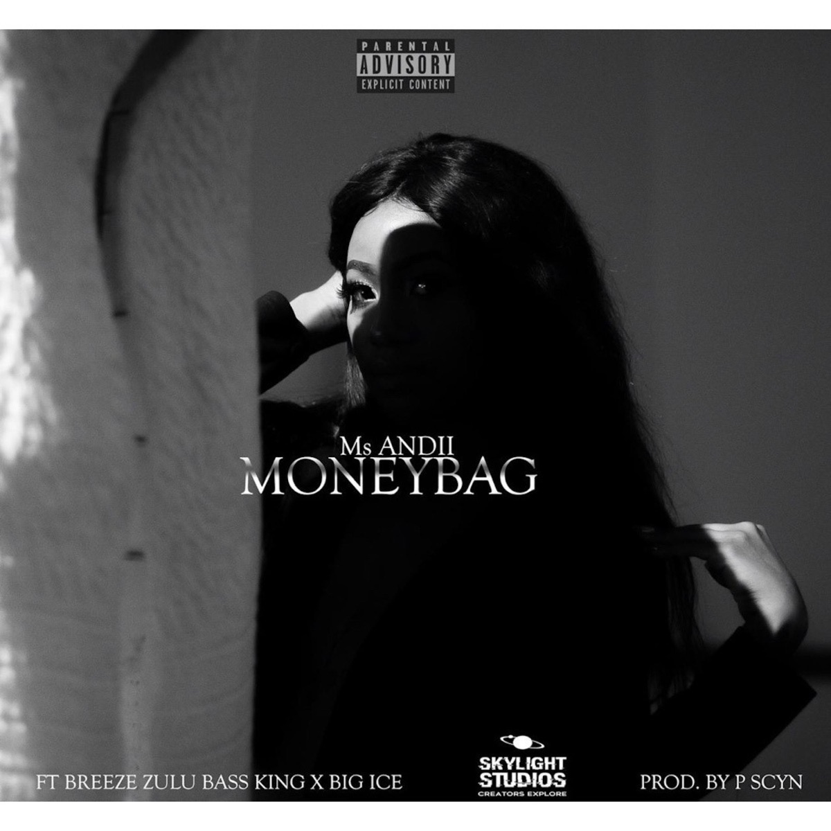 MoneyBag (feat. Breeze Zulu Bass King & BIG ICE) - Single by Ms Andii album cover