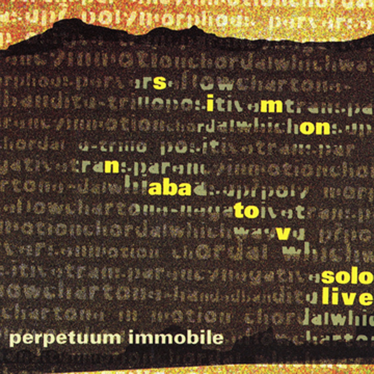 Perpetuum Immobile - Solo Live by Simon Nabatov album cover
