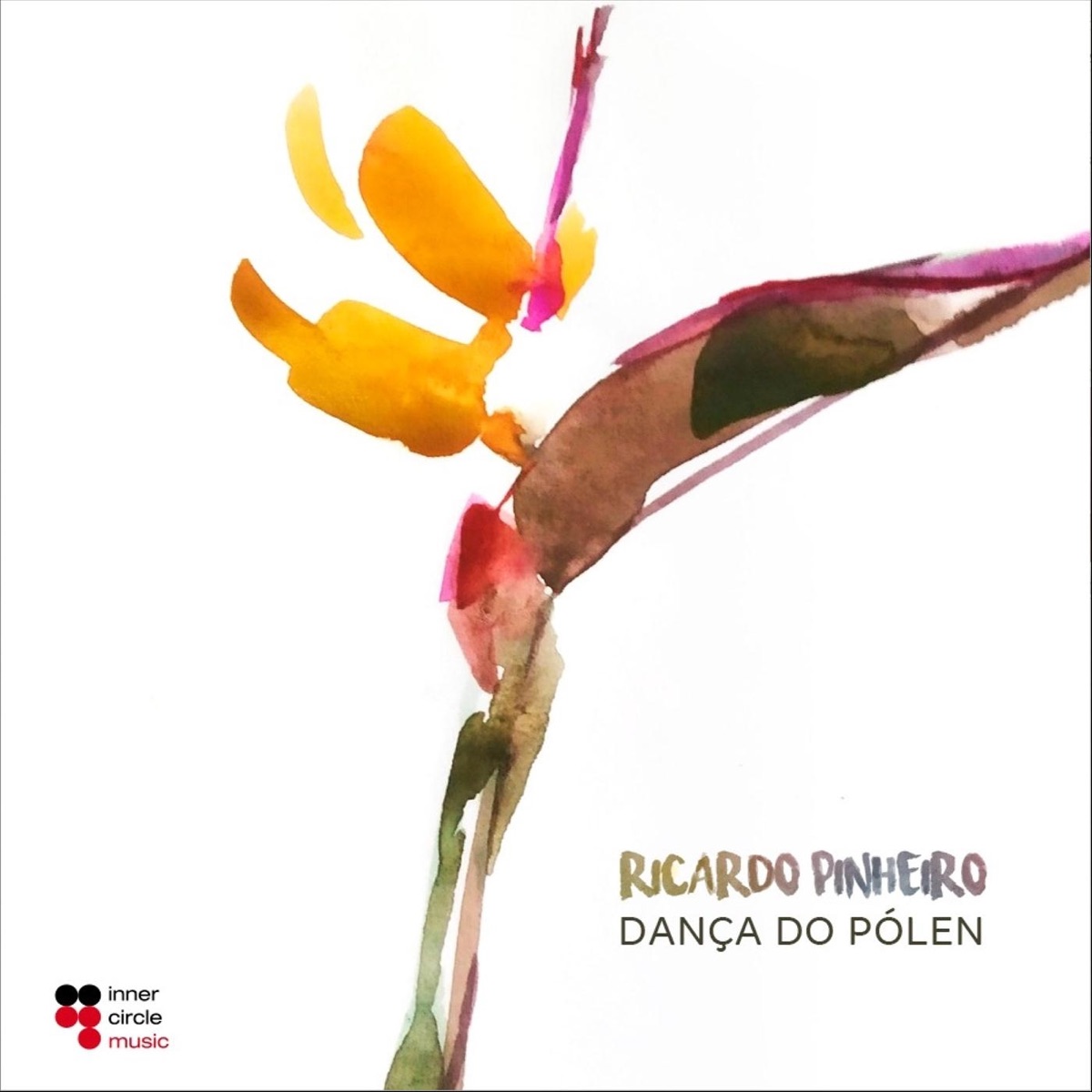 Dança Do Pólen by Ricardo Pinheiro album cover