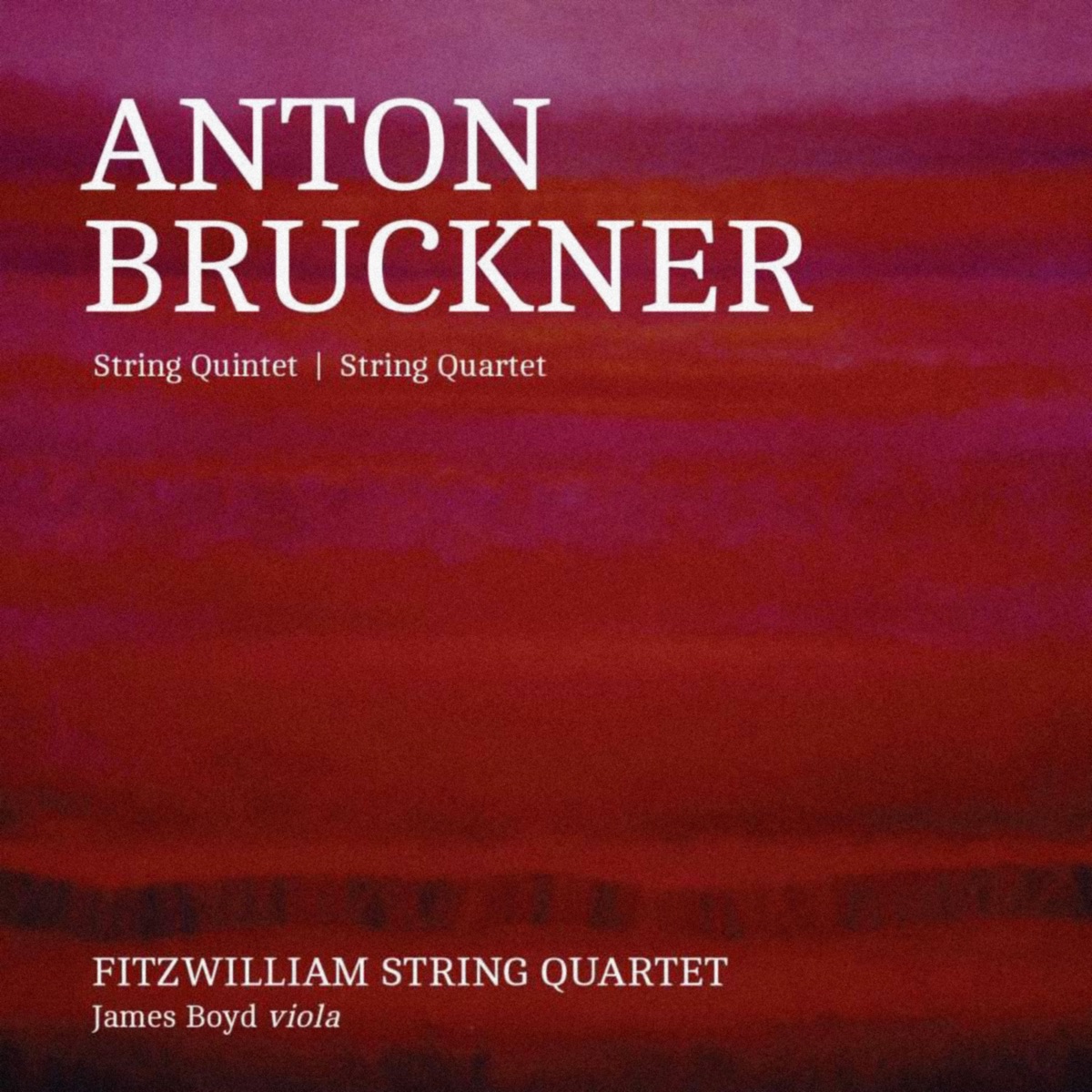 Bruckner: String Quintet - String Quartet by Fitzwilliam String Quartet & James Boyd album cover