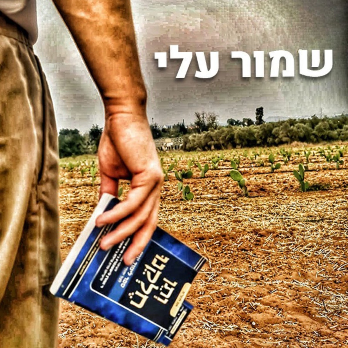 שמור עלי - Single by ותן חלקנו album cover