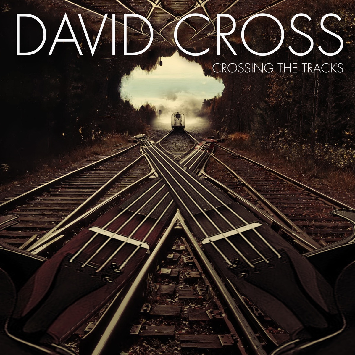 Crossing the Tracks by David Cross album cover