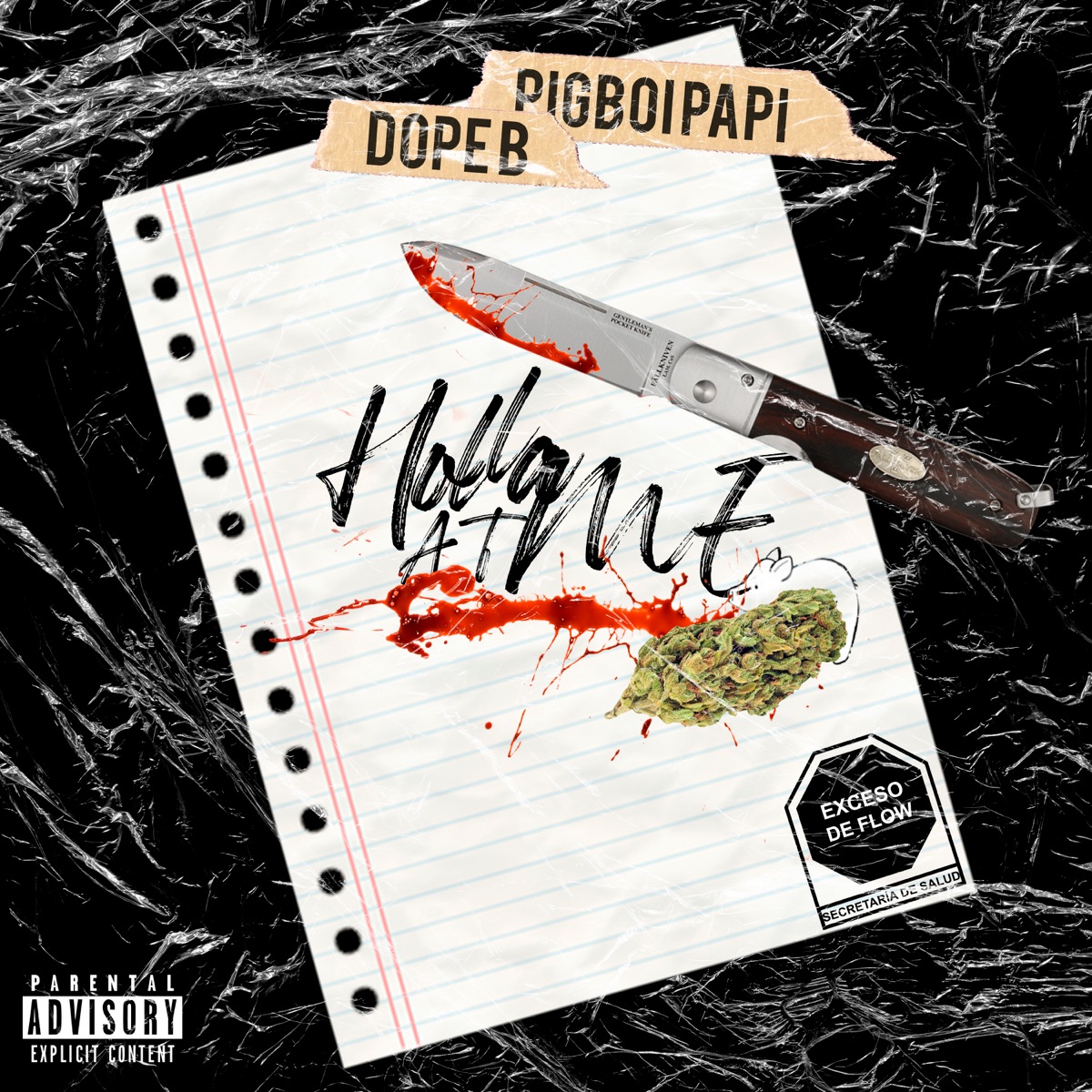 Holla At Me - Single by PigBoi Papi & Dope B album cover