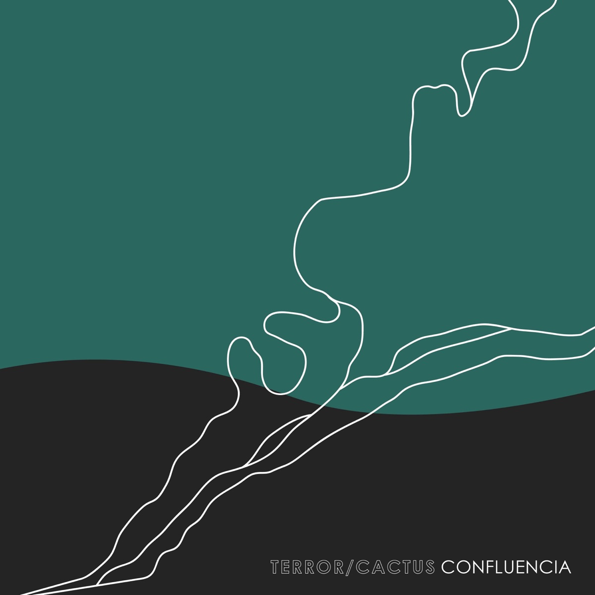 Confluencia by Terror/Cactus album cover