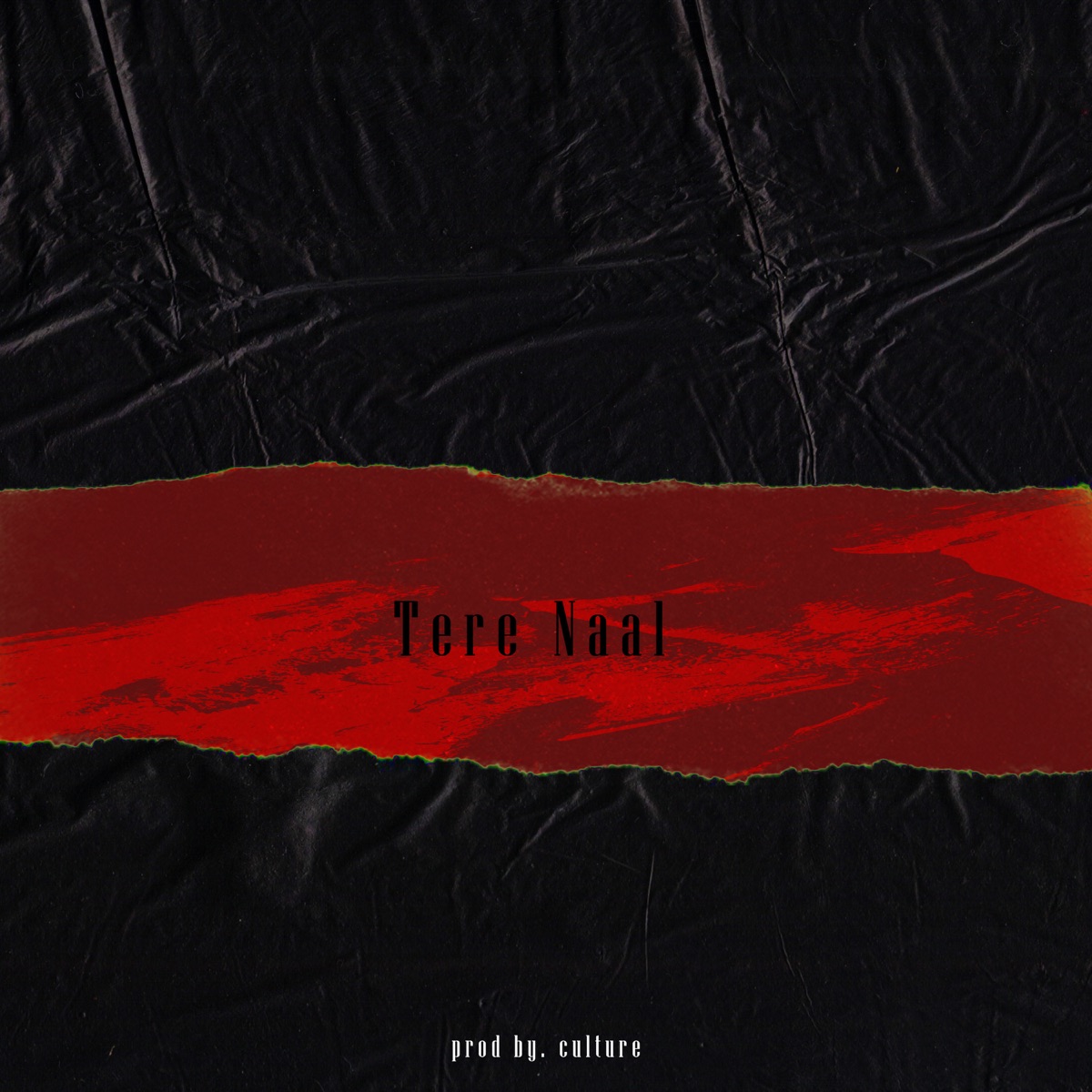 Tere Naal - Single by Luck & Culture Beats album cover