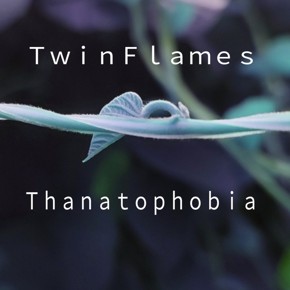 Thanatophobia - Single by TwinFlames album cover