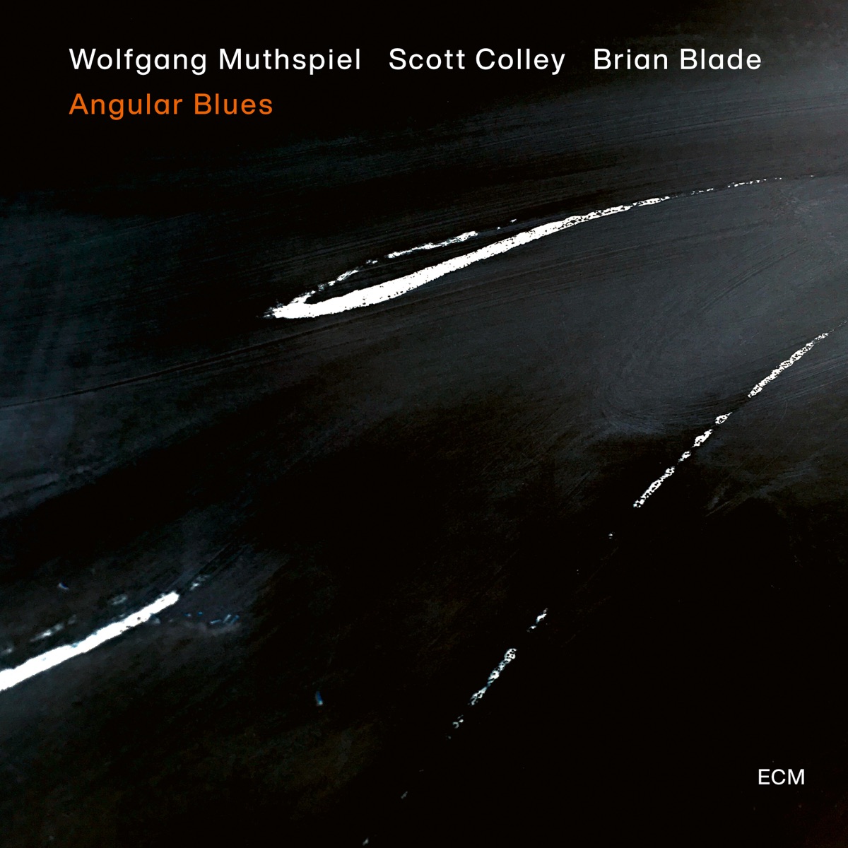 Angular Blues by Wolfgang Muthspiel, Scott Colley & Brian Blade album cover