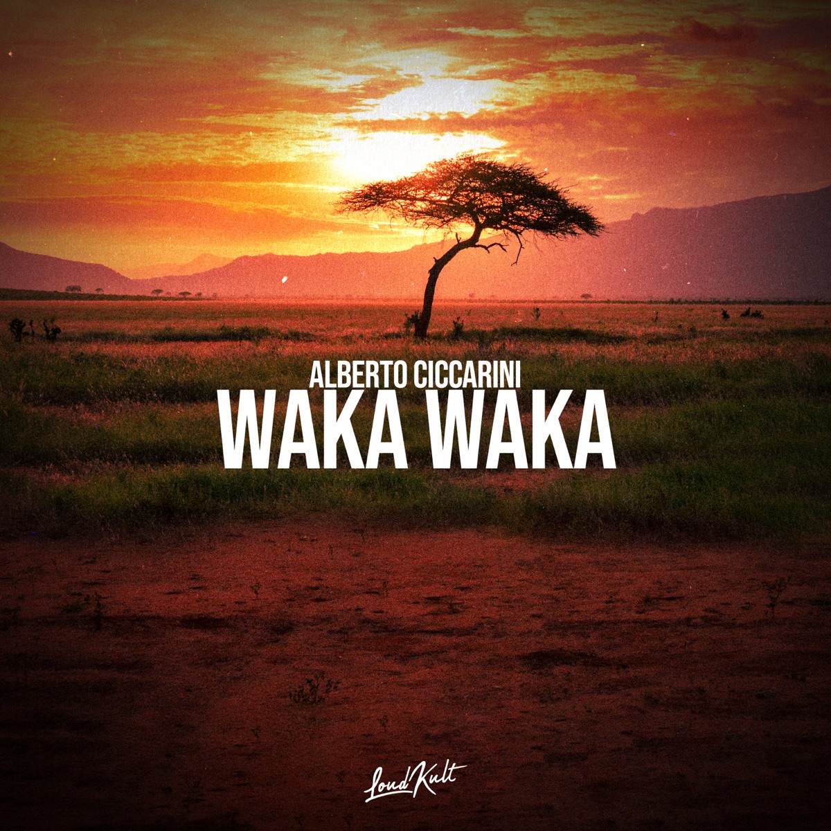 Waka Waka - Single by Alberto Ciccarini album cover