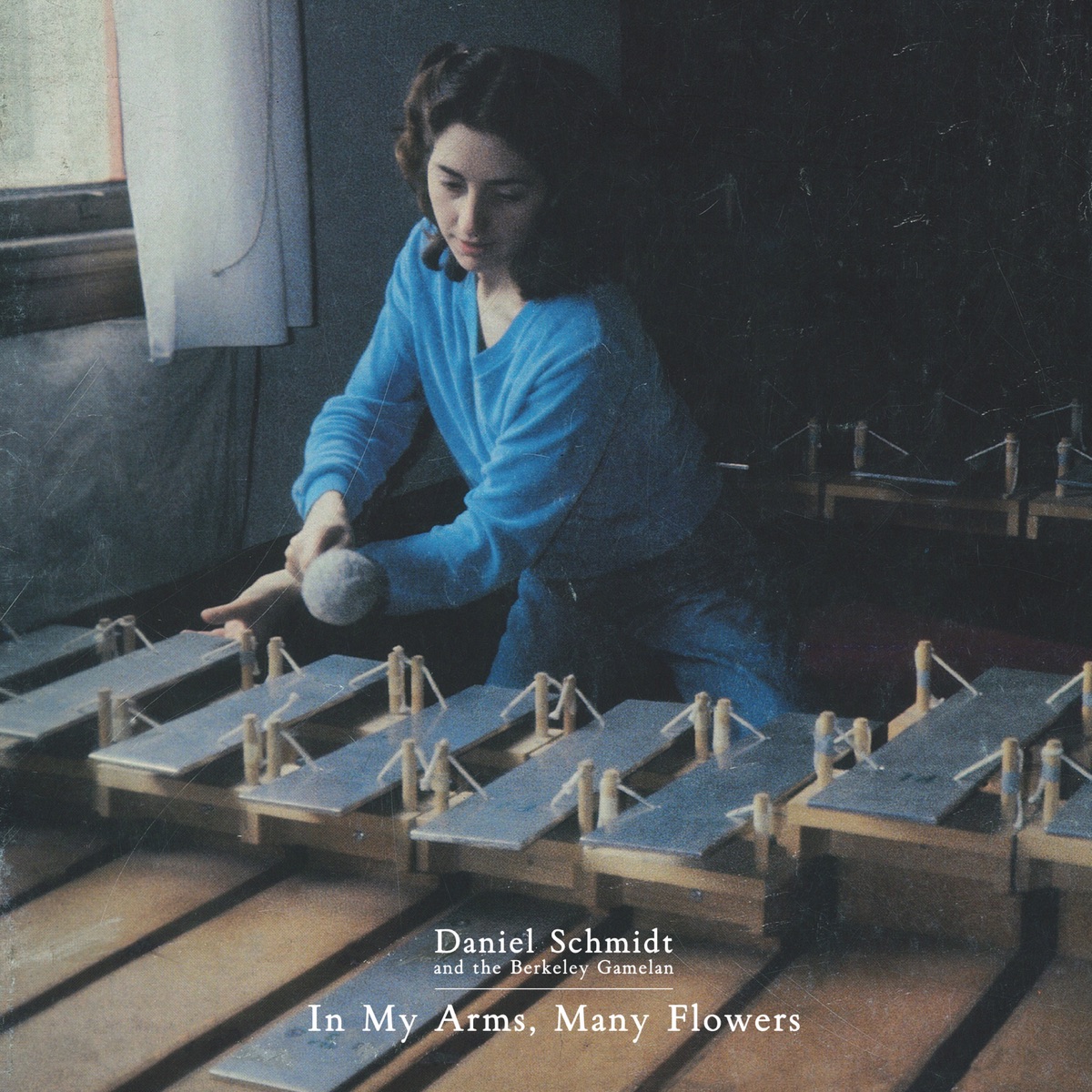 In My Arms, Many Flowers by Daniel Schmidt album cover