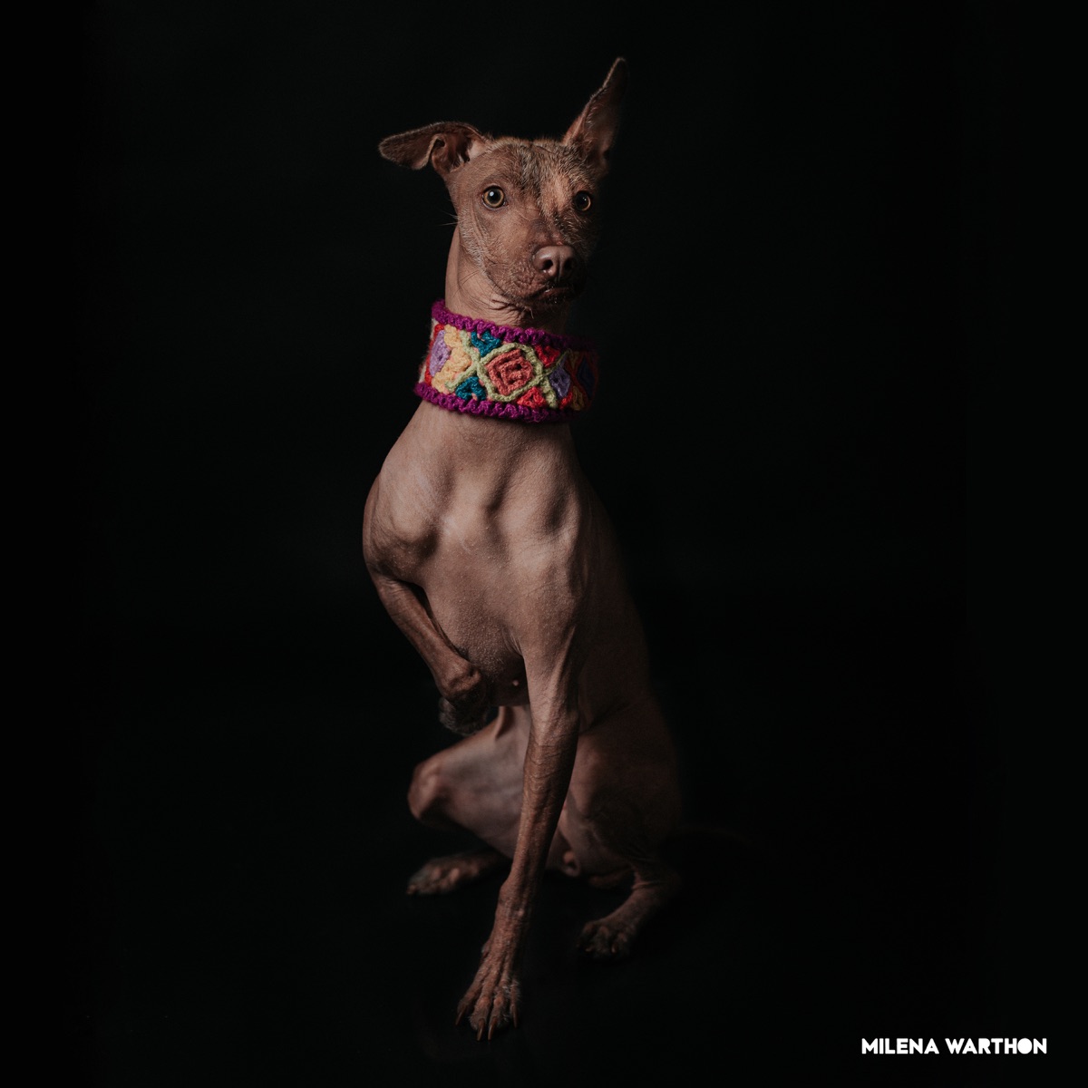 Mashup Peruano - Single by Milena Warthon album cover