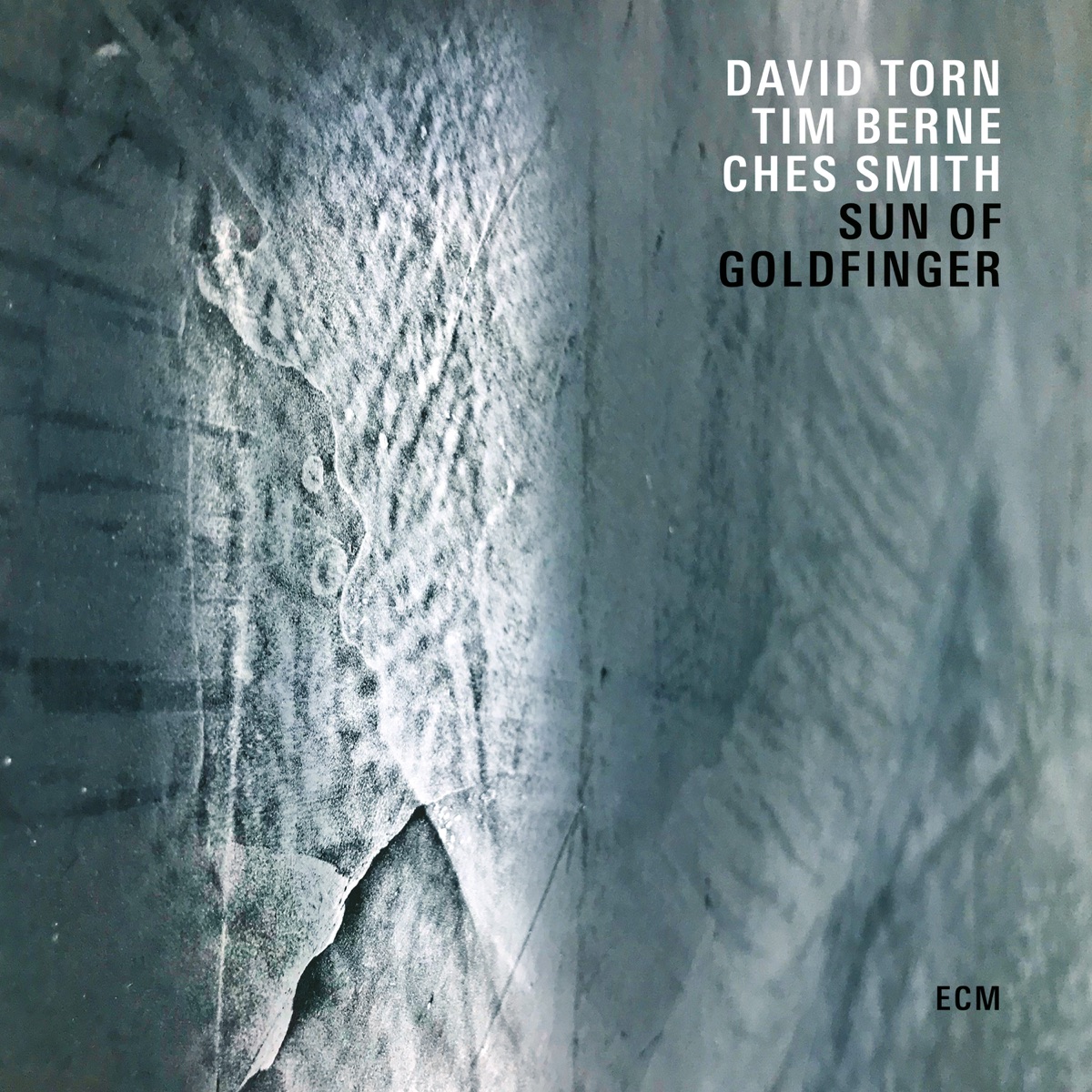 Sun of Goldfinger by David Torn, Tim Berne & Ches Smith album cover