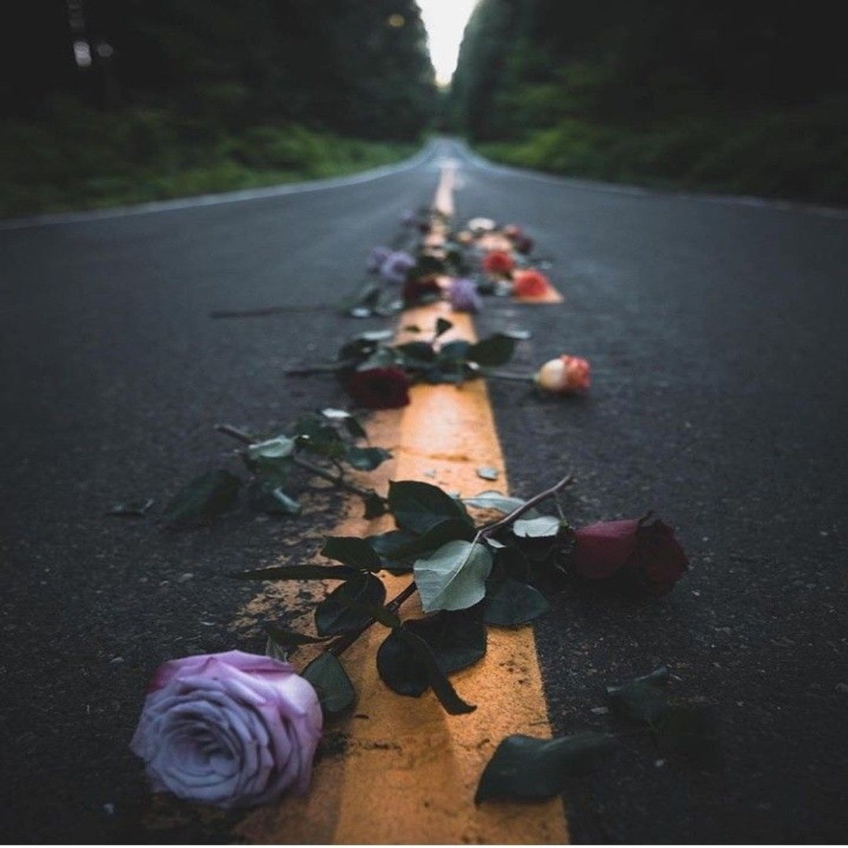 I Love You - Single by JIDDY album cover