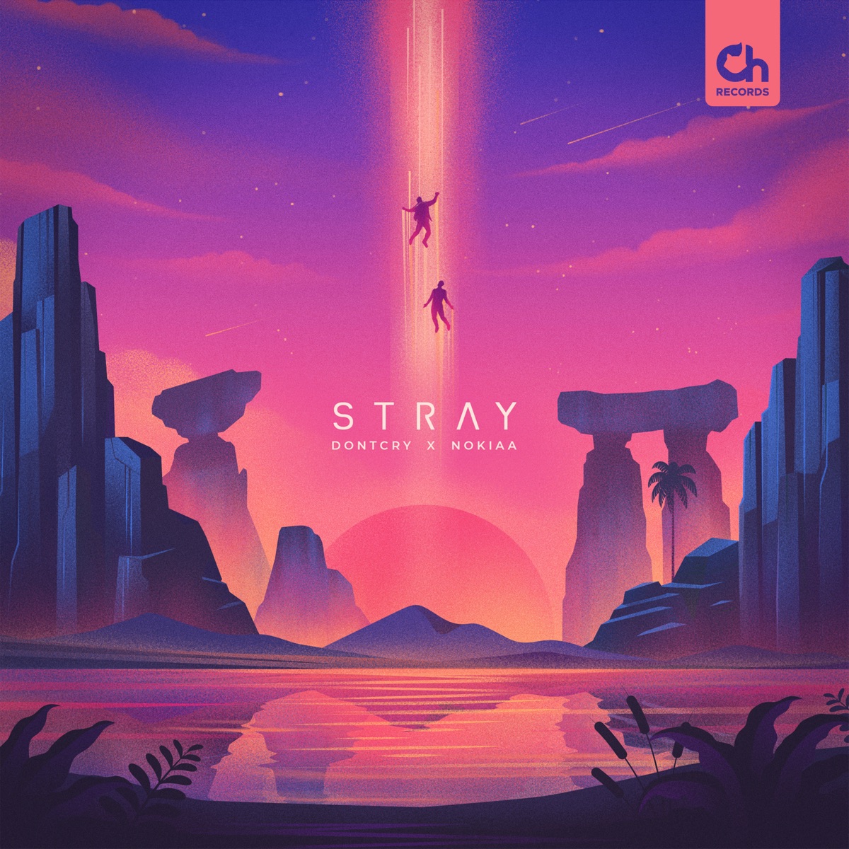 Stray - EP by Dontcry & Nokiaa album cover