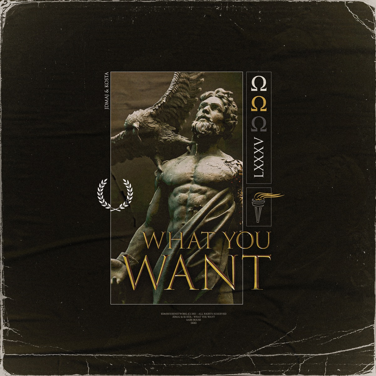 What You Want - Single by JDMAJ & KOSTA album cover