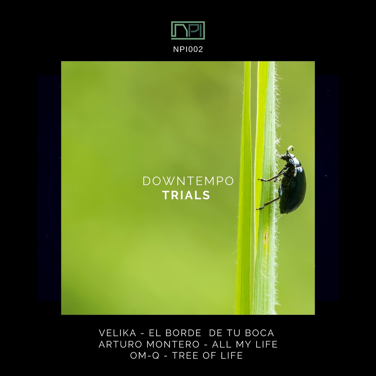 Downtempo Trials - Single by Velika, Arturo Montero & Om-Q album cover