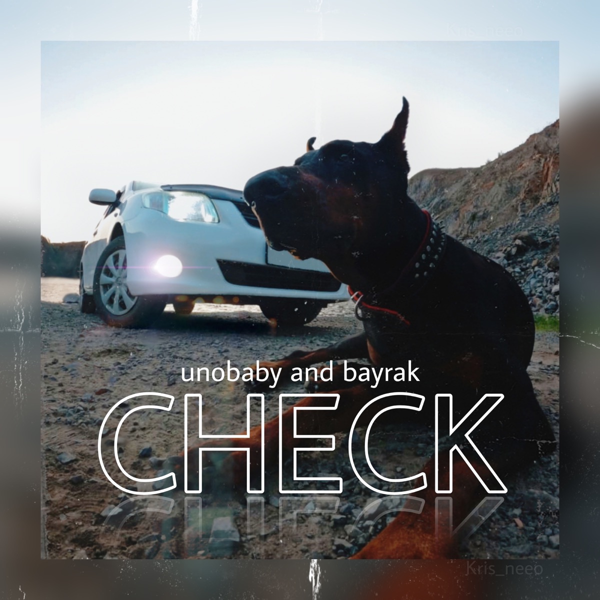 Check - Single by Bayrak & UnoBaby album cover