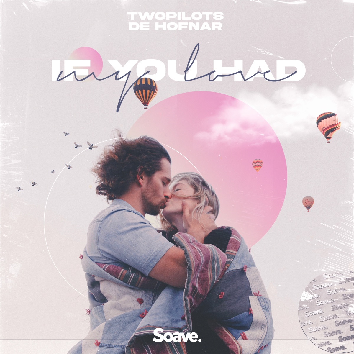 If You Had My Love - Single by TWOPILOTS & De Hofnar album cover