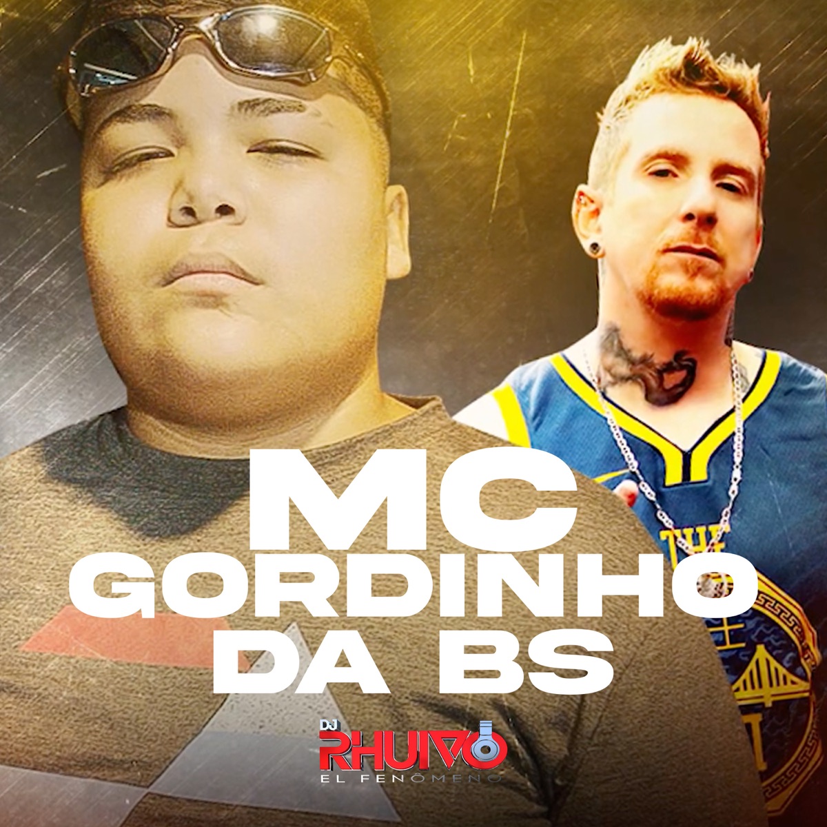 Apaixonado Pela Donzela - Single by Dj Rhuivo & Mc Gordinho da BS album cover