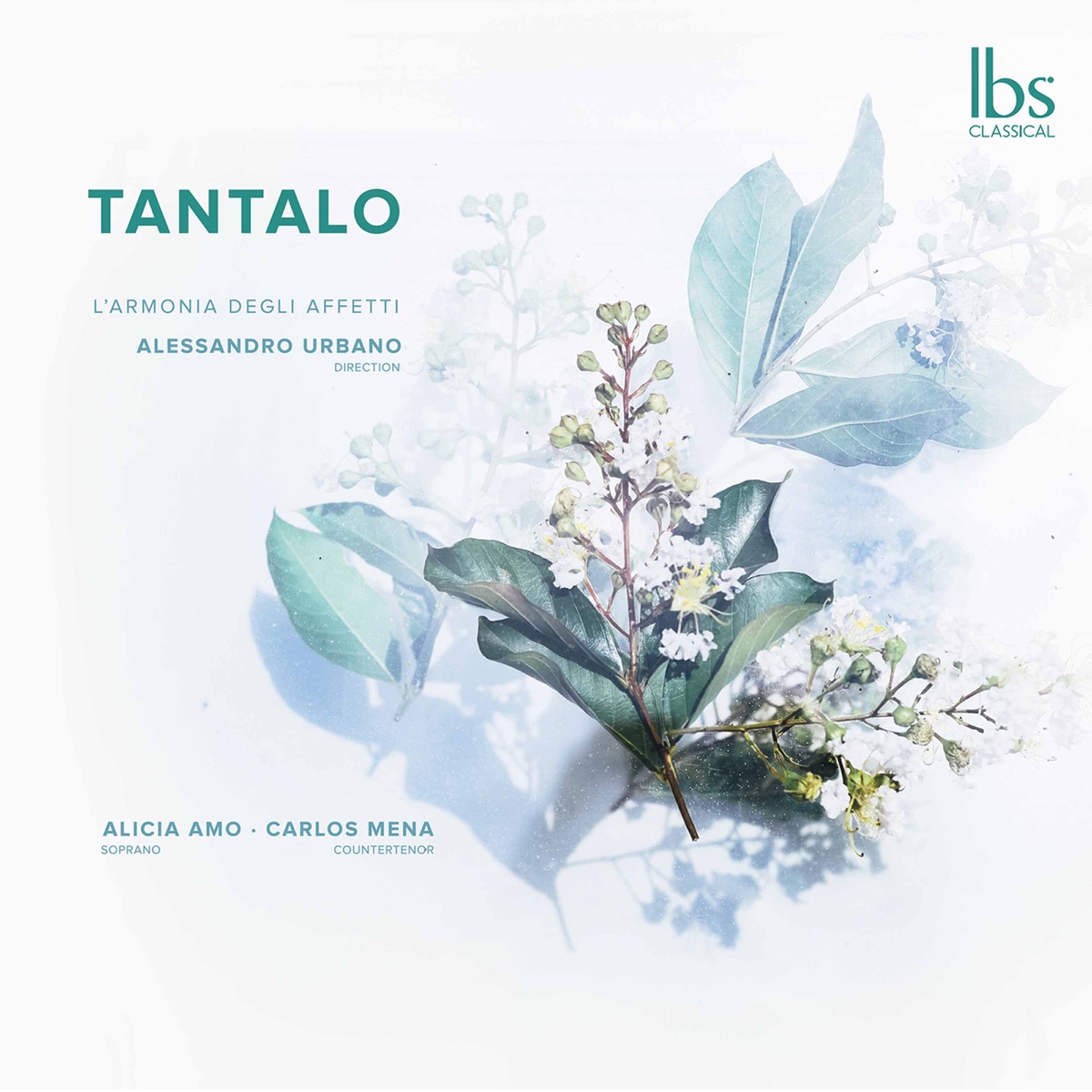 Tantalo: Baroque bel canto by Carlos Mena, Alicia Amo, L'Armonia degli Affetti & Alessandro Urbano album cover
