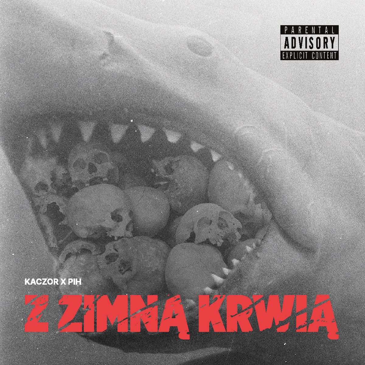 Z Zimną Krwią by Kaczor & PIH album cover