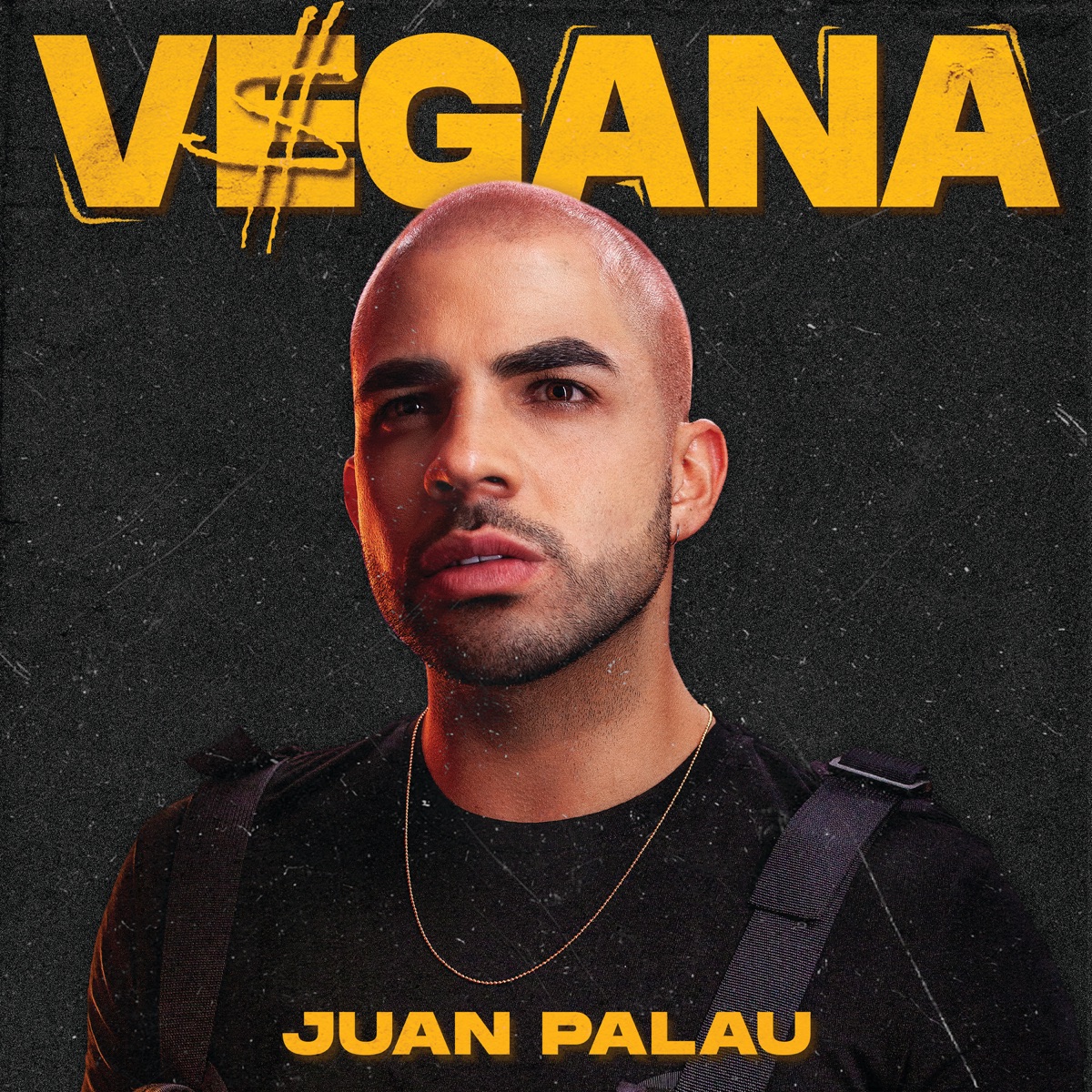 Vegana - Single by Juan Palau album cover