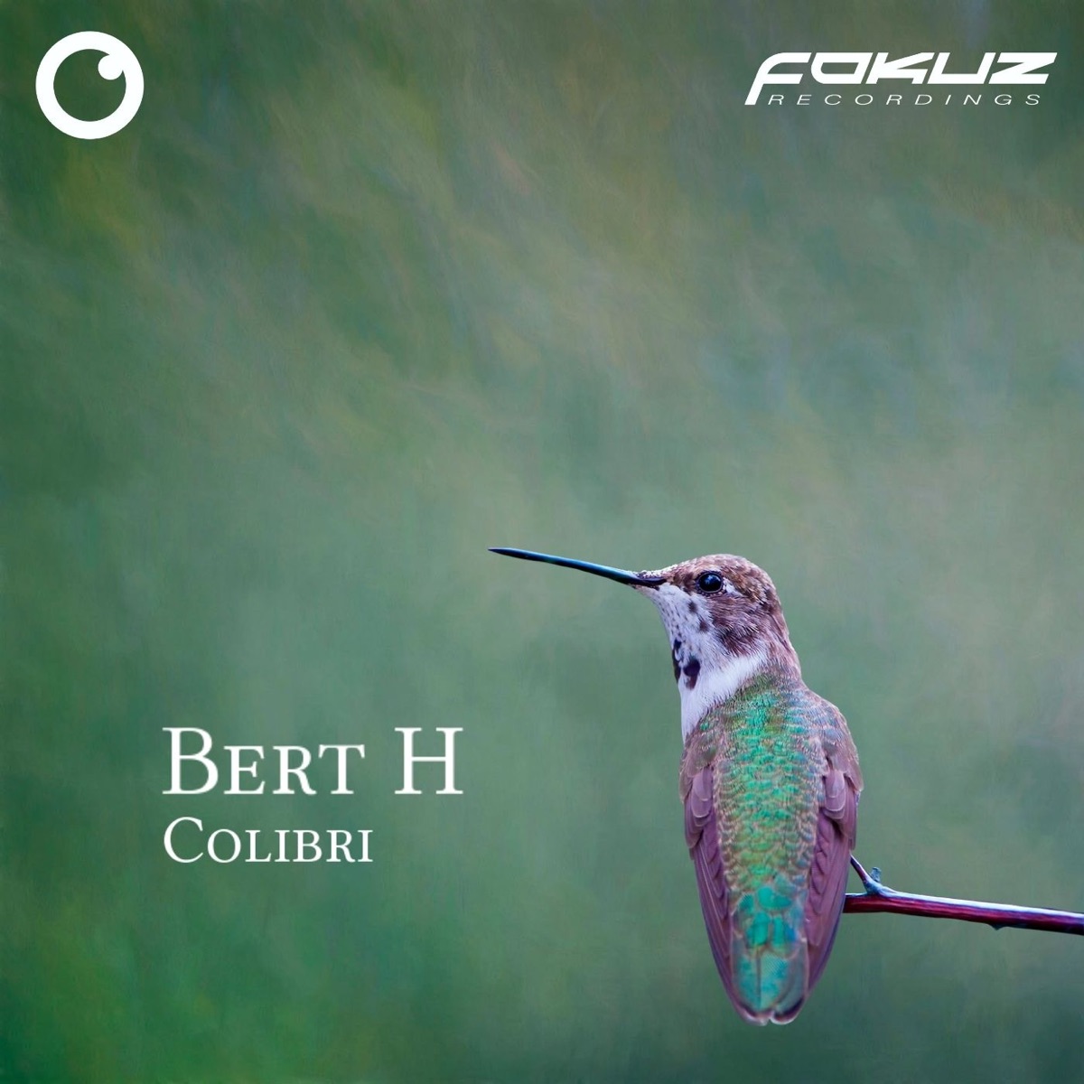 Colibri - Single by Bert H album cover