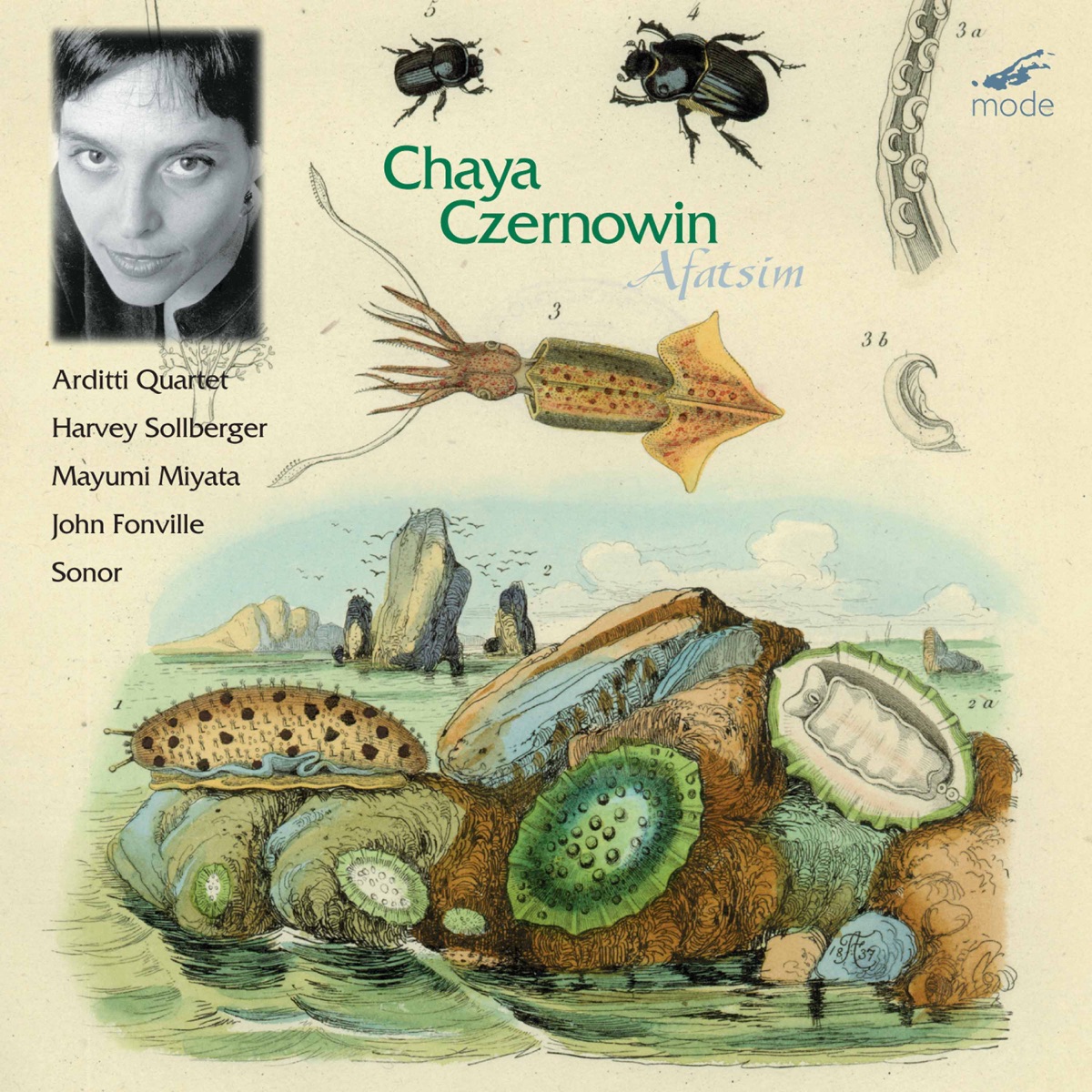Czernowin: Afatsim by Harvey Sollberger album cover