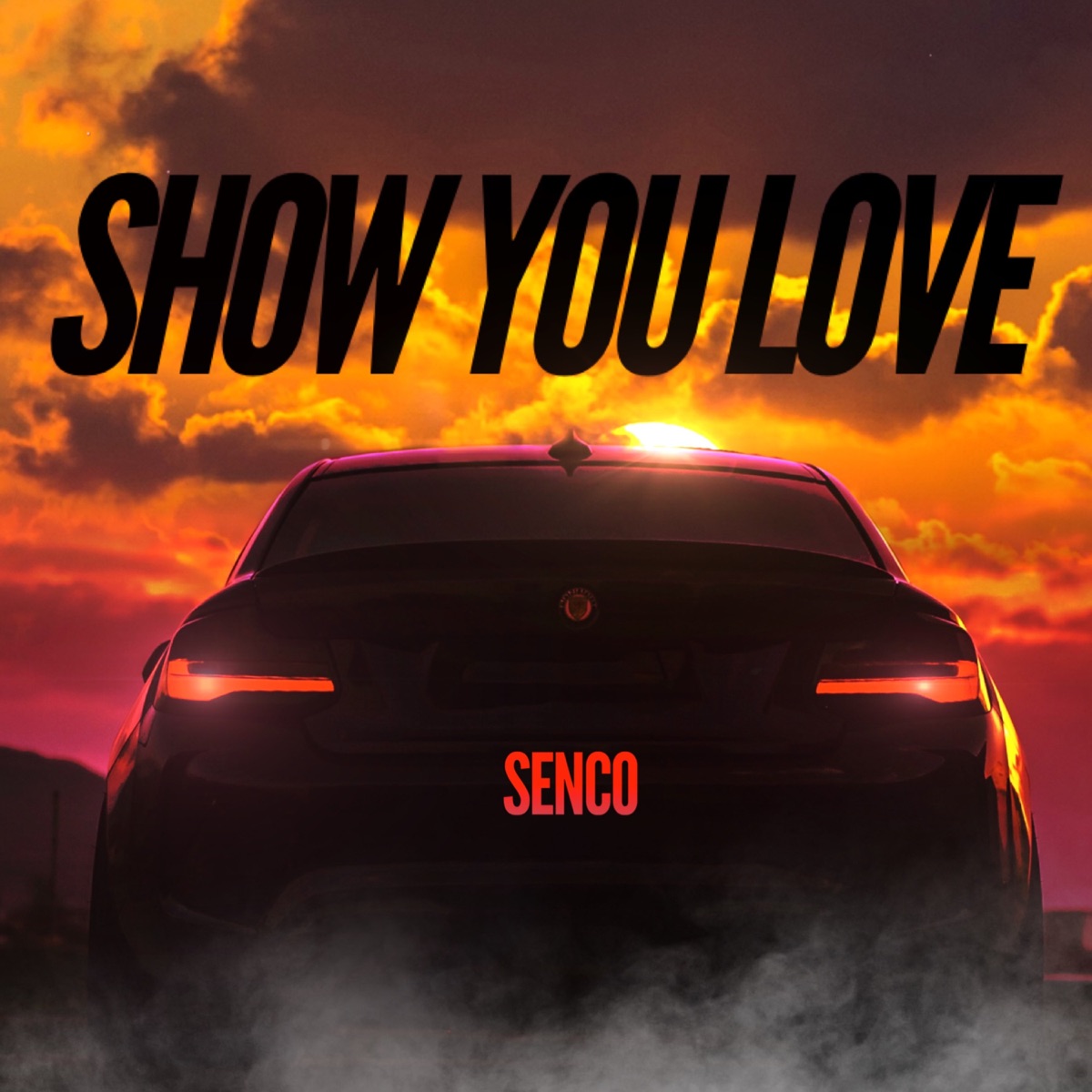 Show You Love - Single by Derrick Sena & Senco album cover