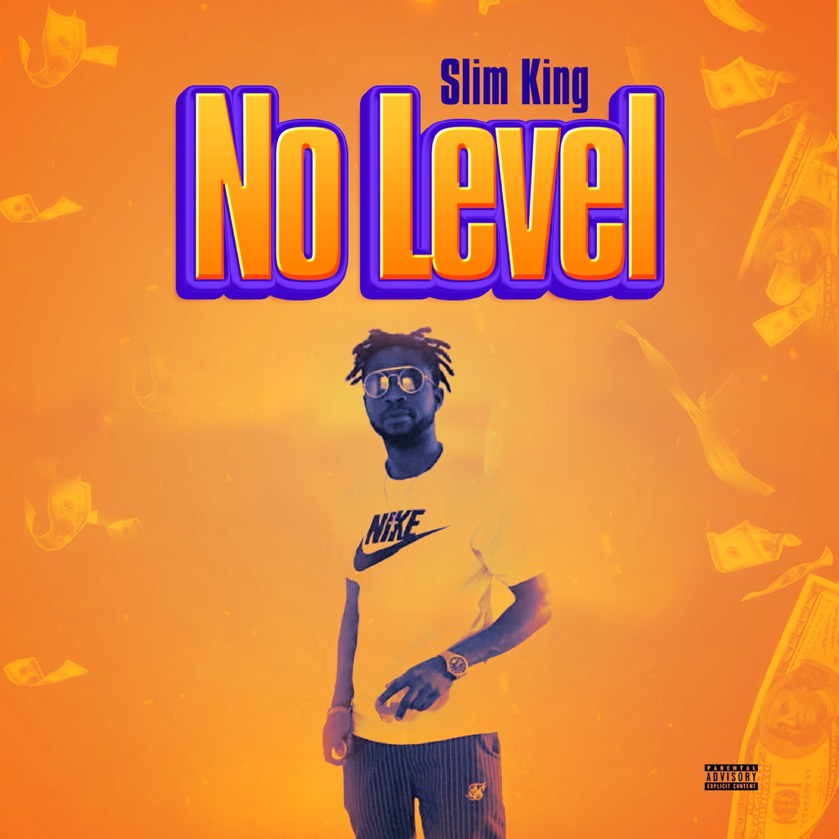 No Level - Single by Slim King album cover