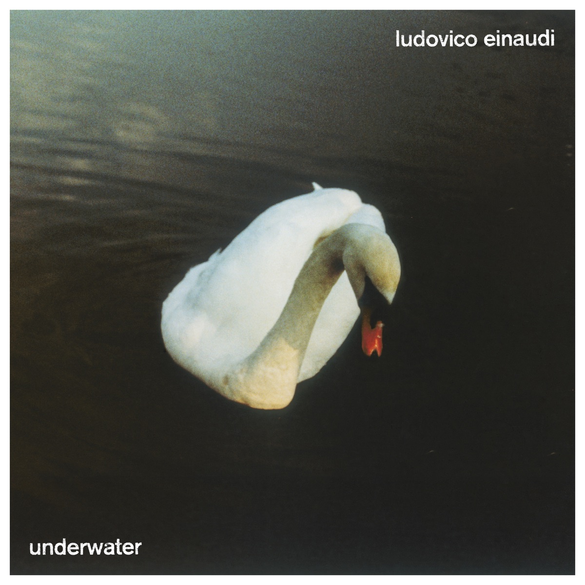 Underwater (Video Edition) by Ludovico Einaudi album cover