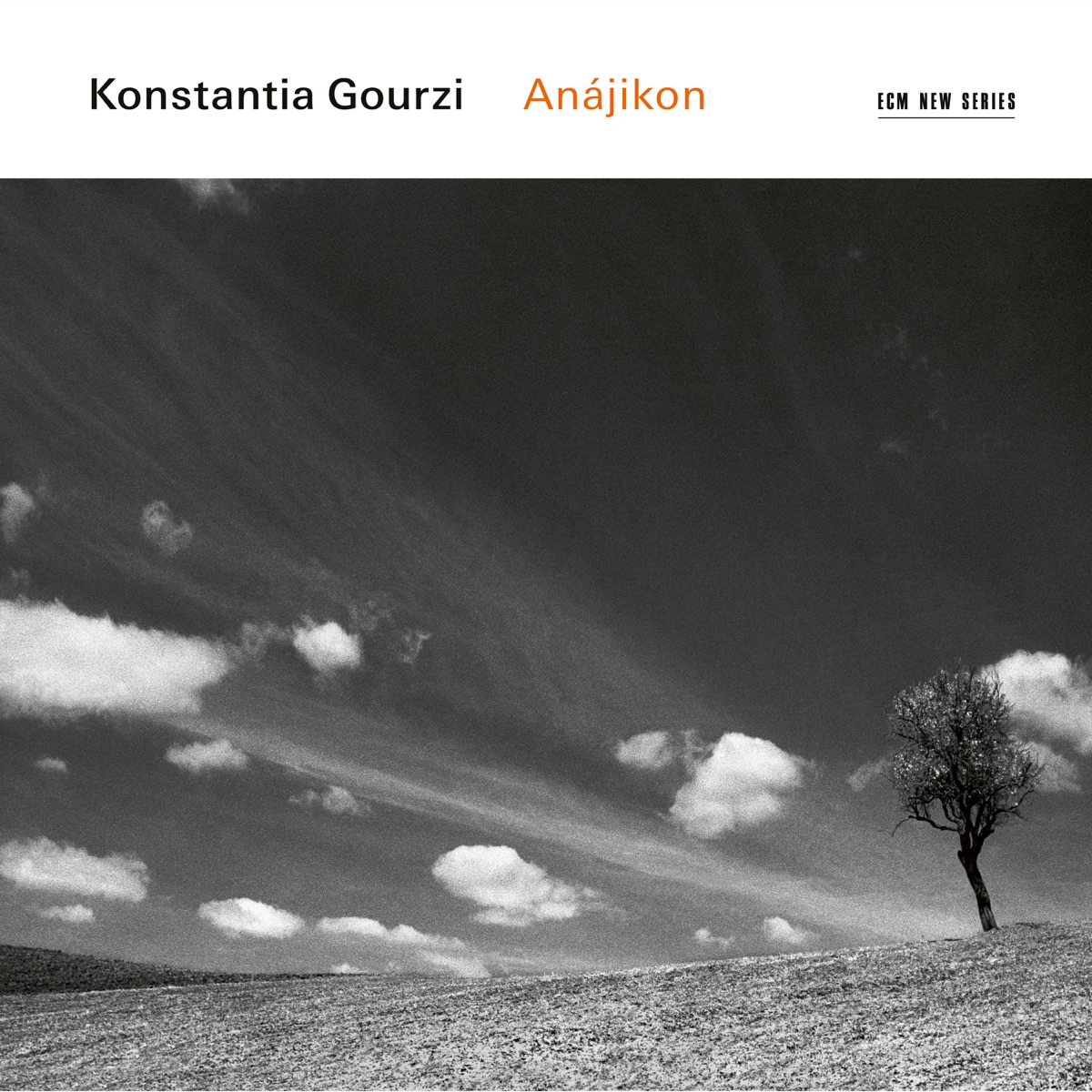 Anájikon by Nils Mönkemeyer, William Youn, Minguet Quartett, Lucerne Academy Orchestra & Konstantia Gourzi album cover